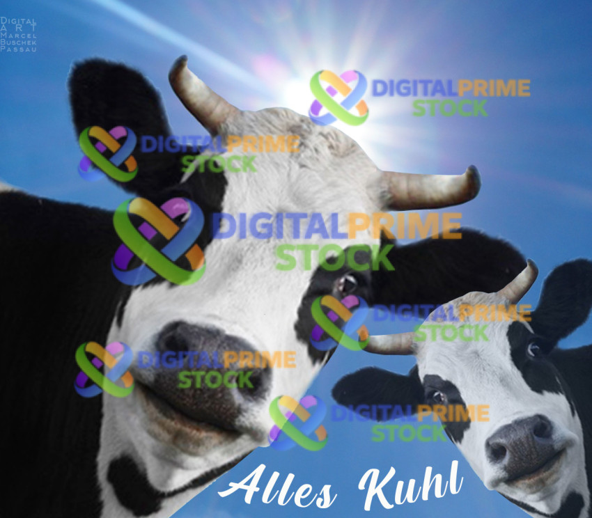 Alles Kuhl