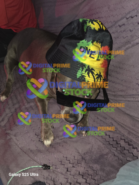 20260706 220449