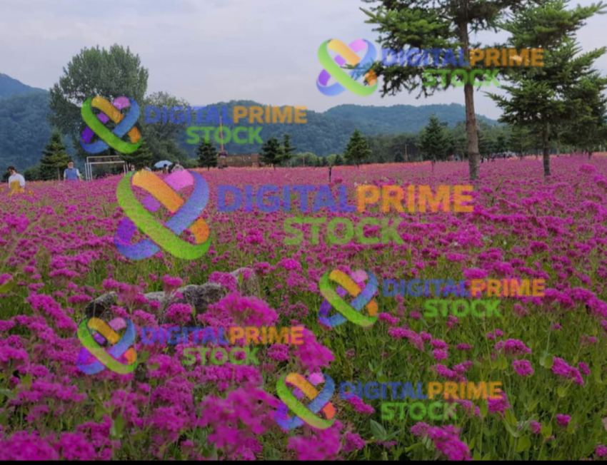 photo output