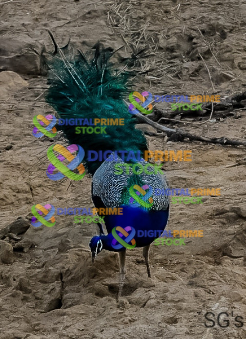 1000118357