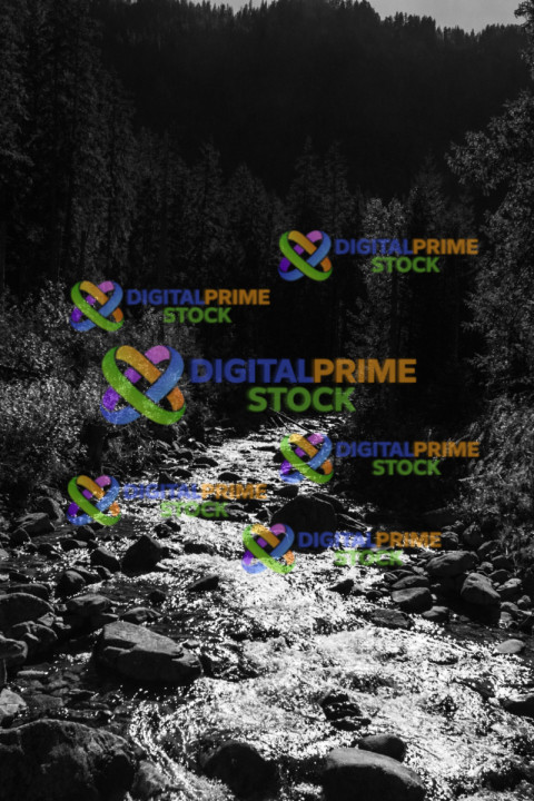 stream in the mountains